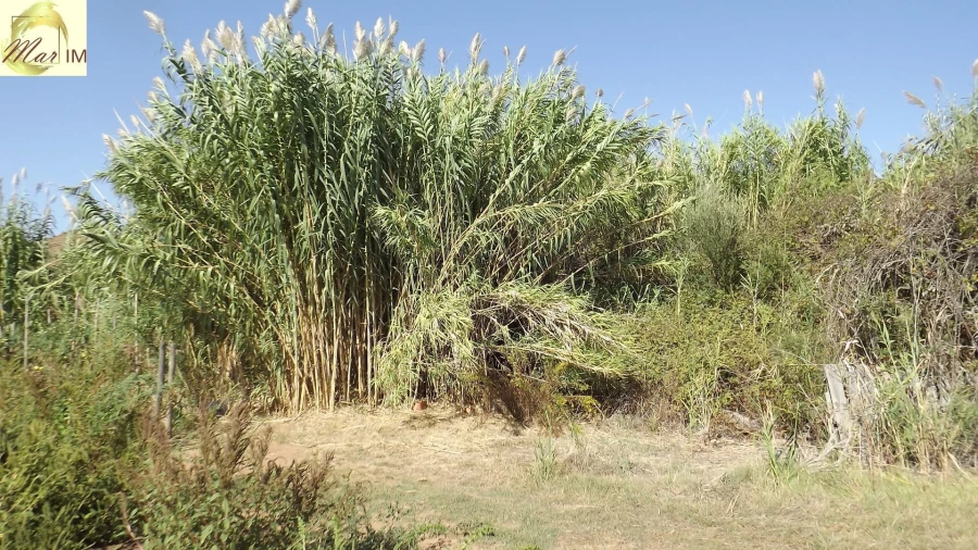 Terreno Agricola ou Rústico para Venda em Castro Marim Foto 11