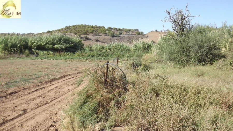 Terreno Agricola ou Rústico para Venda em Castro Marim Foto 12