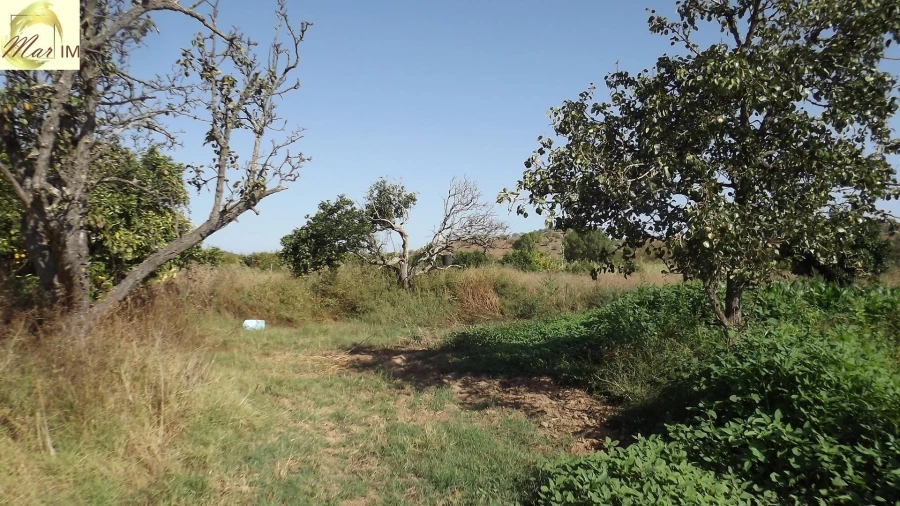 Terreno Agricola ou Rústico para Venda em Castro Marim Foto 13