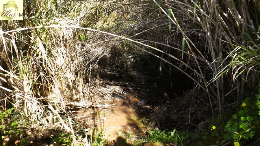 Terreno Agricola ou Rústico para Venda em Castro Marim Foto 14