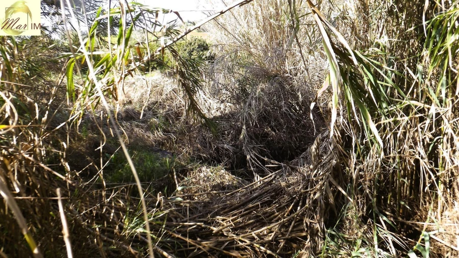 Terreno Agricola ou Rústico para Venda em Castro Marim Foto 15