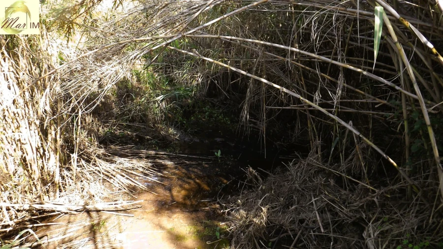 Terreno Agricola ou Rústico para Venda em Castro Marim Foto 17