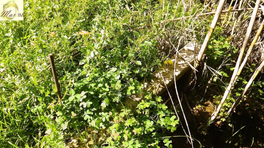 Terreno Agricola ou Rústico para Venda em Castro Marim Foto 19