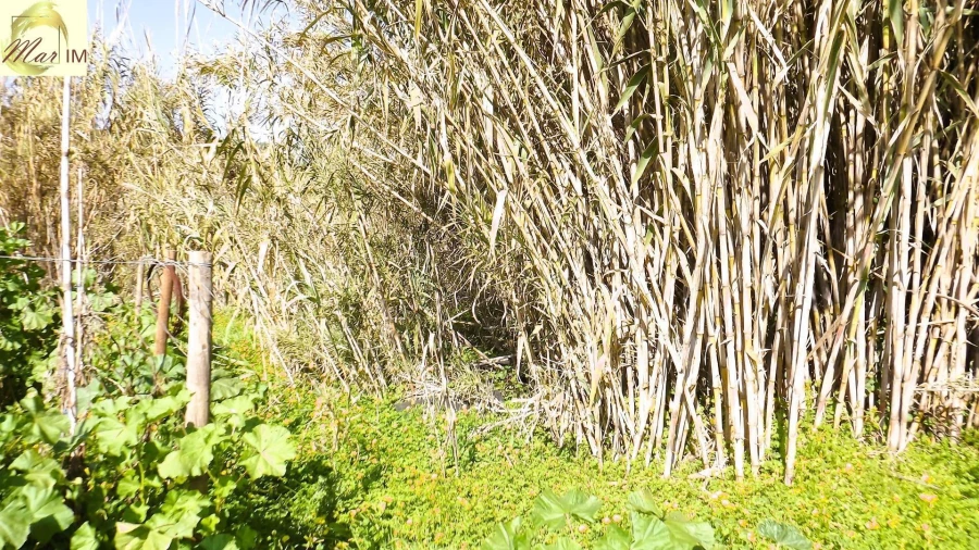 Terreno Agricola ou Rústico para Venda em Castro Marim Foto 20
