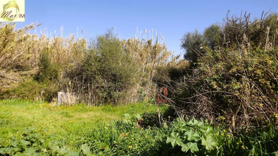 Terreno Agricola ou Rústico para Venda em Castro Marim Foto 21
