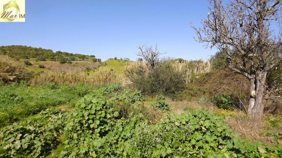 Terreno Agricola ou Rústico para Venda em Castro Marim Foto 22