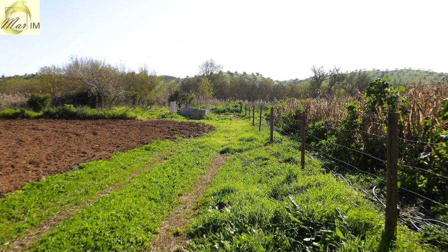 Terreno Agricola ou Rústico para Venda em Castro Marim Foto 24