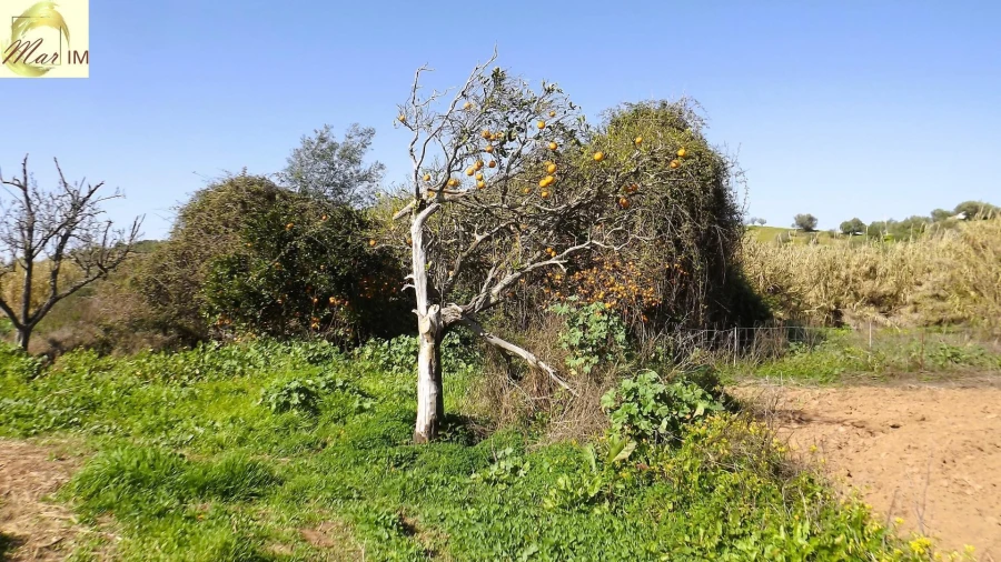 Terreno Agricola ou Rústico para Venda em Castro Marim Foto 25