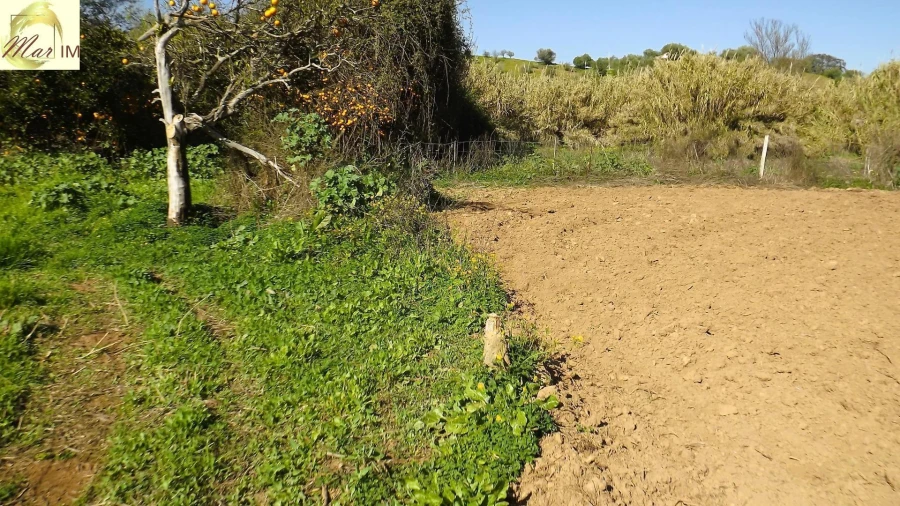 Terreno Agricola ou Rústico para Venda em Castro Marim Foto 26