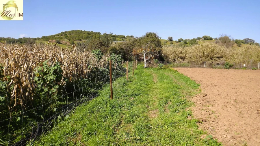 Terreno Agricola ou Rústico para Venda em Castro Marim Foto 29