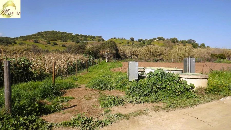 Terreno Agricola ou Rústico para Venda em Castro Marim Foto 32