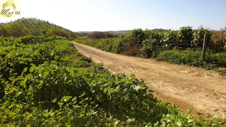 Terreno Agricola ou Rústico para Venda em Castro Marim Foto 37