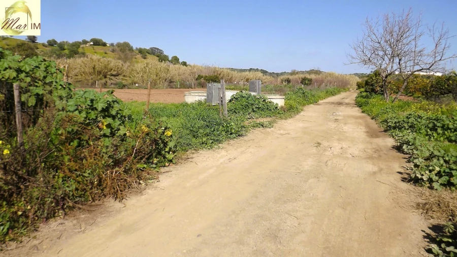 Terreno Agricola ou Rústico para Venda em Castro Marim Foto 39