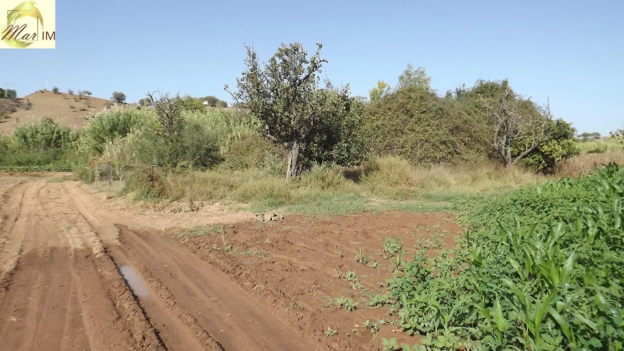 Terreno Agricola ou Rústico para Venda em Castro Marim Foto 4
