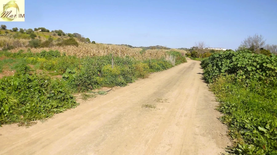 Terreno Agricola ou Rústico para Venda em Castro Marim Foto 42