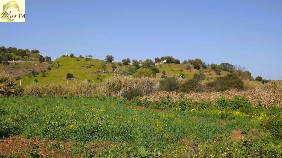 Terreno Agricola ou Rústico para Venda em Castro Marim Foto 43
