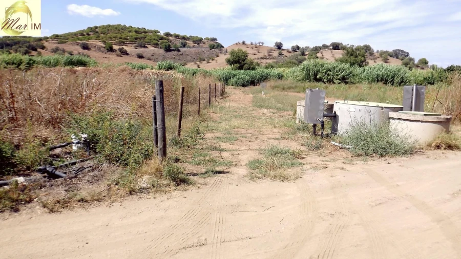 Terreno Agricola ou Rústico para Venda em Castro Marim Foto 46