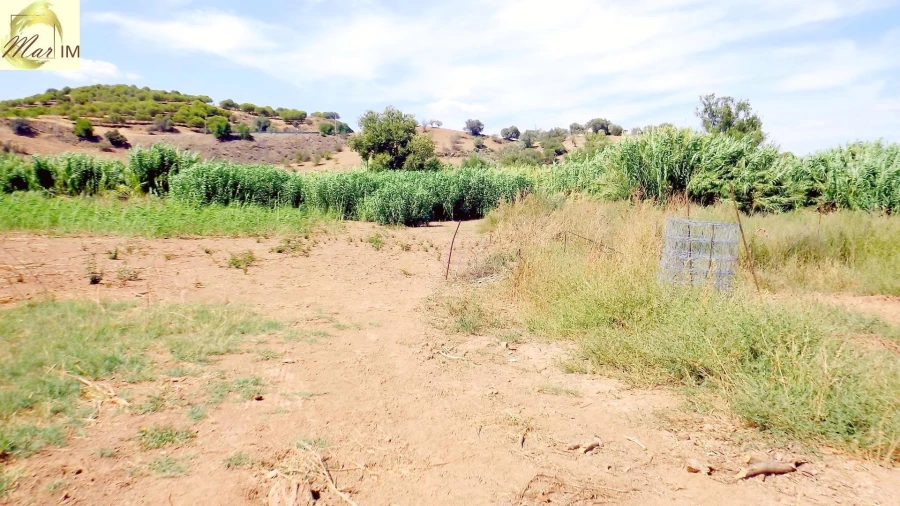 Terreno Agricola ou Rústico para Venda em Castro Marim Foto 50
