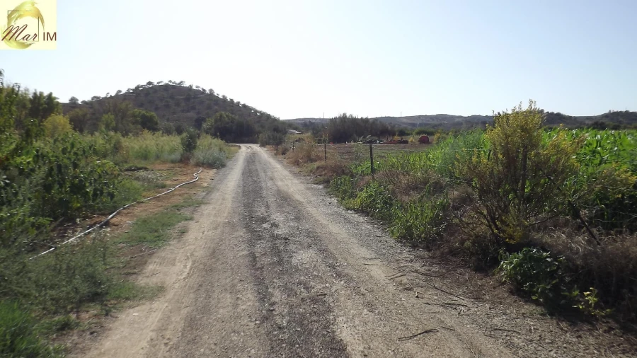 Terreno Agricola ou Rústico para Venda em Castro Marim Foto 8