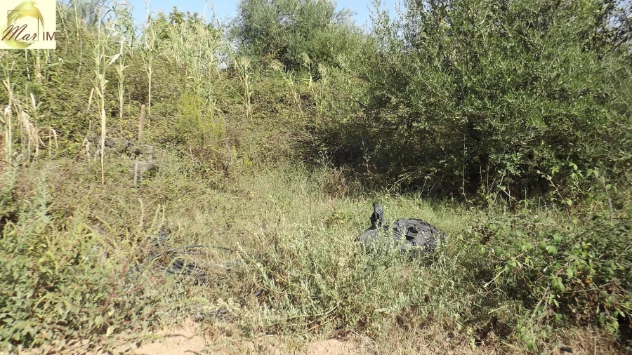 Terreno Agricola ou Rústico para Venda em Castro Marim Foto 9