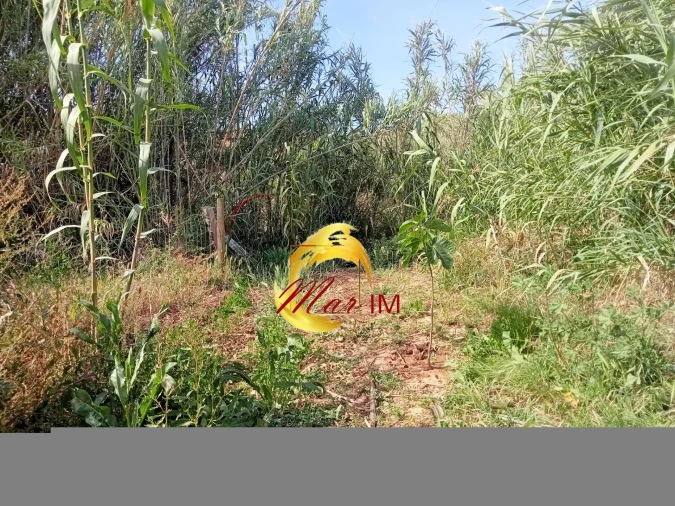 Terreno Agricola ou Rústico para Venda em Castro Marim Foto 30