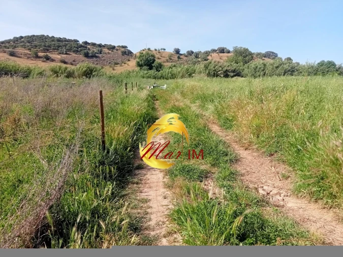 Terreno Agricola ou Rústico para Venda em Castro Marim Foto 34
