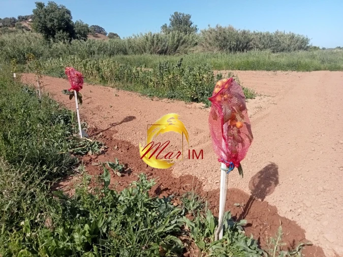 Terreno Agricola ou Rústico para Venda em Castro Marim Foto 23