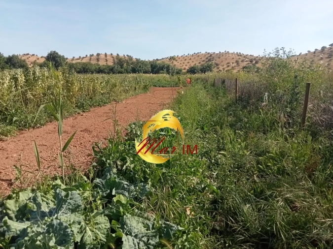 Terreno Agricola ou Rústico para Venda em Castro Marim Foto 28