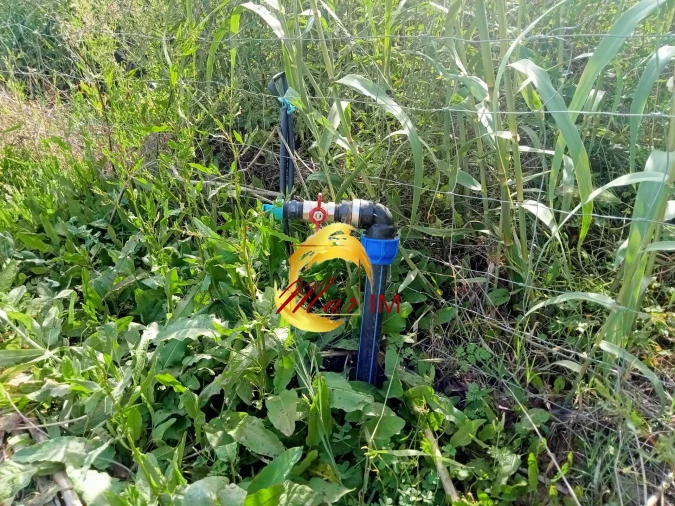 Terreno Agricola ou Rústico para Venda em Castro Marim Foto 32