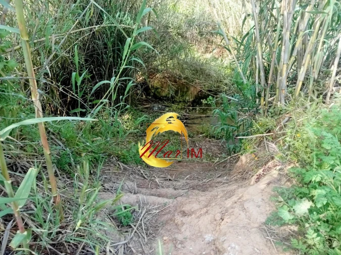 Terreno Agricola ou Rústico para Venda em Castro Marim Foto 33