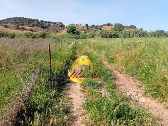 Terreno Agricola ou Rústico para Venda em Castro Marim Foto 35