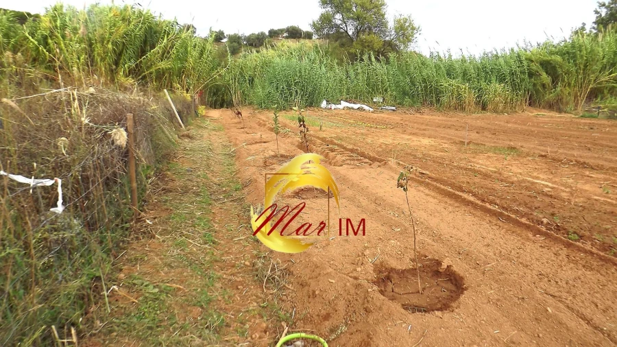 Terreno Agricola ou Rústico para Venda em Castro Marim Foto 50