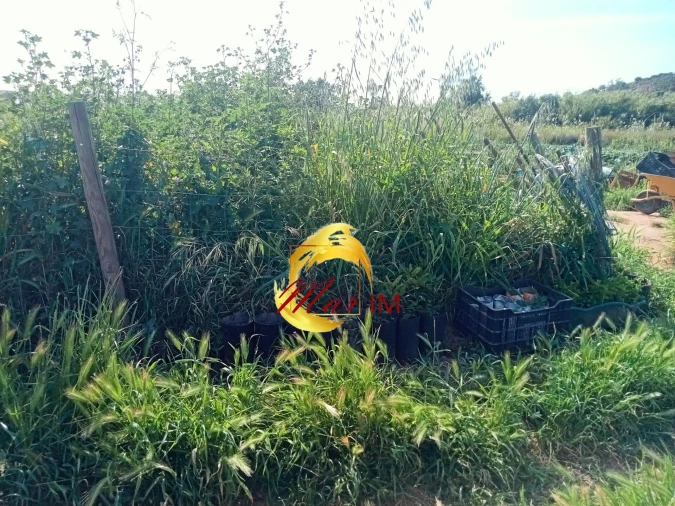 Terreno Agricola ou Rústico para Venda em Castro Marim Foto 6