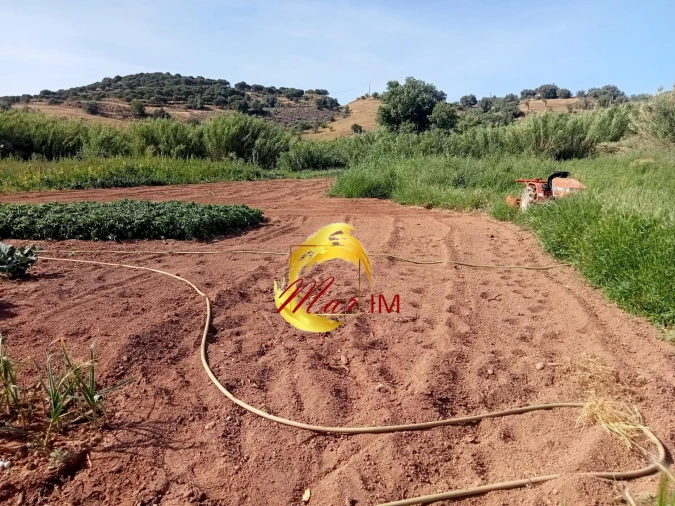 Terreno Agricola ou Rústico para Venda em Castro Marim Foto 9