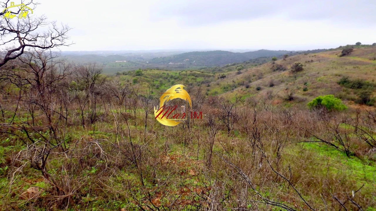 Terreno Agricola ou Rústico para Venda em Azinhal Foto 29