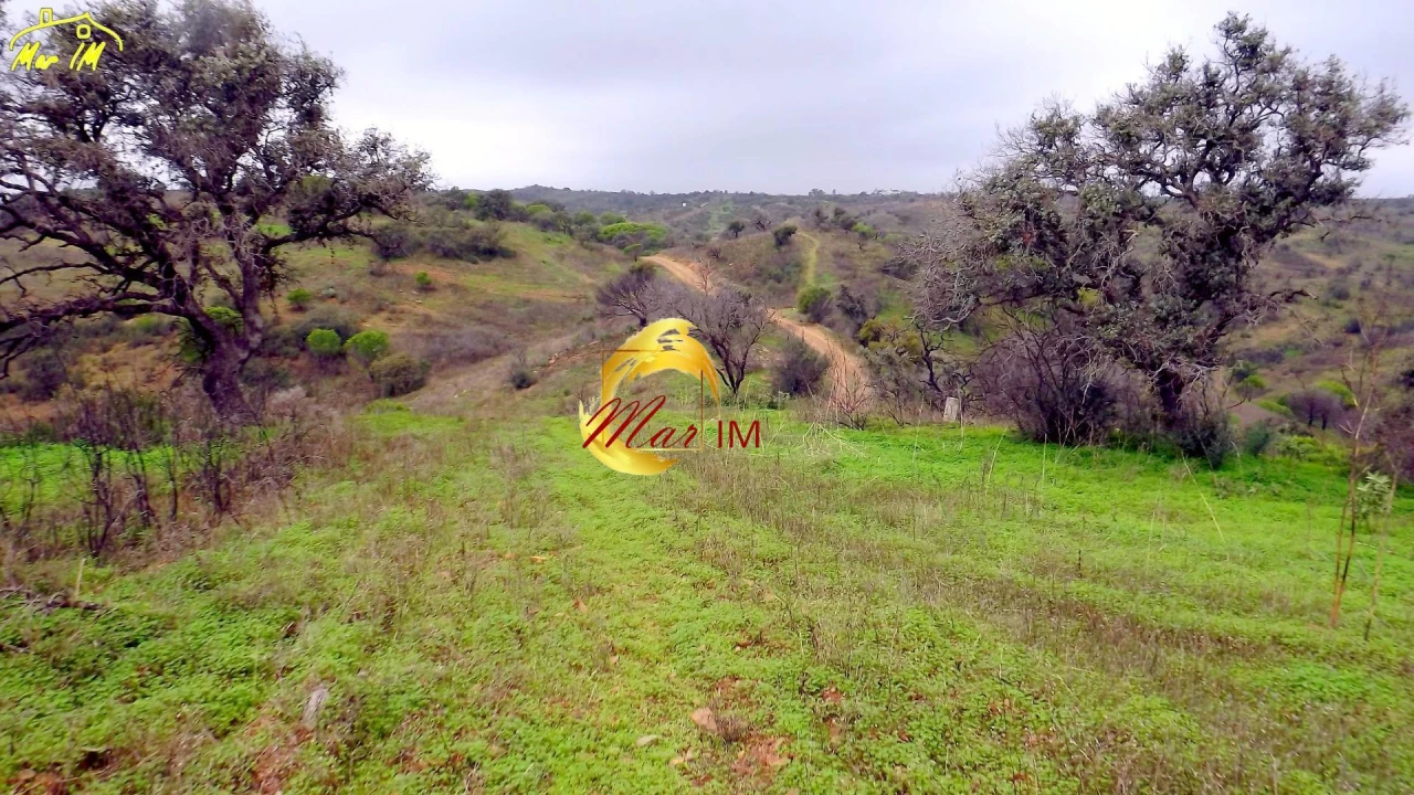 Terreno Agricola ou Rústico para Venda em Azinhal Foto 37