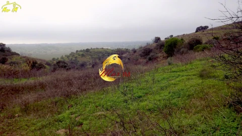 Terreno Agricola ou Rústico para Venda em Azinhal