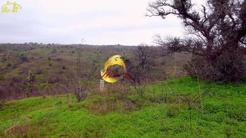 Terreno Agricola ou Rústico para Venda em Azinhal