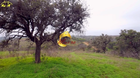 Terreno Agricola ou Rústico para Venda em Azinhal