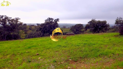 Terreno Agricola ou Rústico para Venda em Azinhal