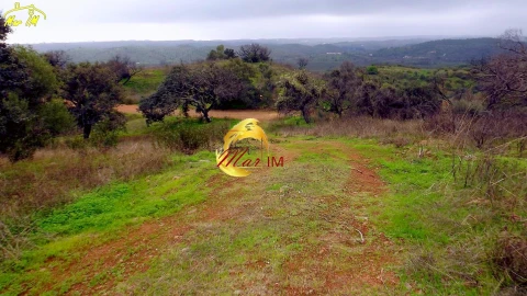 Terreno Agricola ou Rústico para Venda em Azinhal