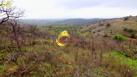 Terreno Agricola ou Rústico para Venda em Azinhal