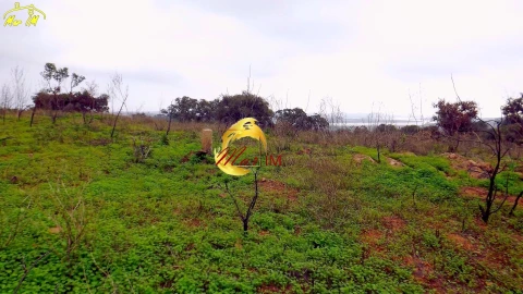 Terreno Agricola ou Rústico para Venda em Azinhal