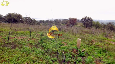 Terreno Agricola ou Rústico para Venda em Azinhal