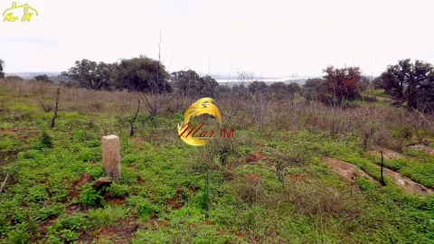 Terreno Agricola ou Rústico para Venda em Azinhal