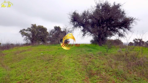 Terreno Agricola ou Rústico para Venda em Azinhal