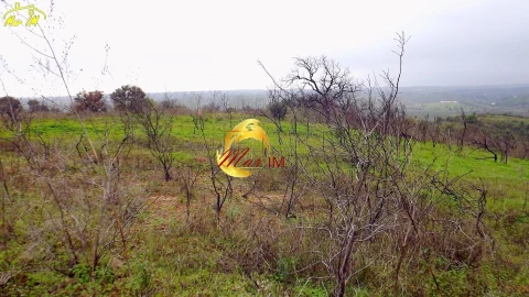 Terreno Agricola ou Rústico para Venda em Azinhal