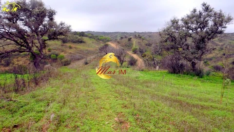 Terreno Agricola ou Rústico para Venda em Azinhal