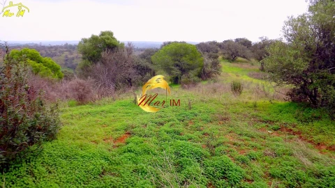 Terreno Agricola ou Rústico para Venda em Azinhal