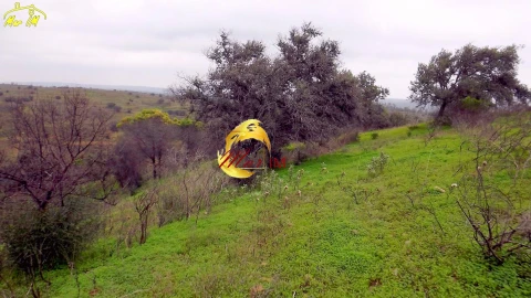 Terreno Agricola ou Rústico para Venda em Azinhal